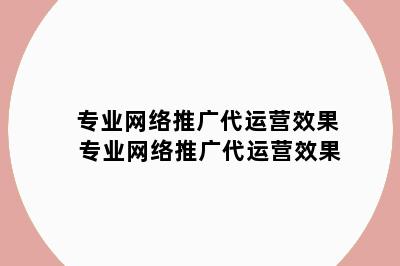 专业网络推广代运营效果 专业网络推广代运营效果